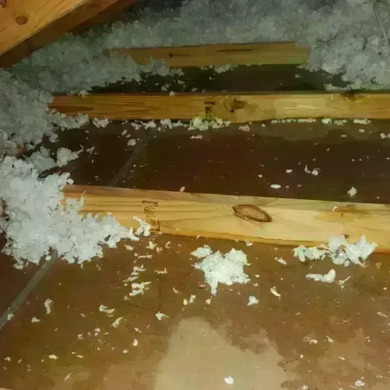 Attic Water Damage in Decherd, TN